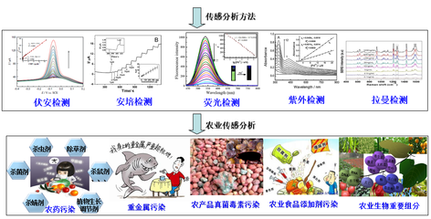引領未來 創新團隊如何驅動新材料技術的推廣與服務升級