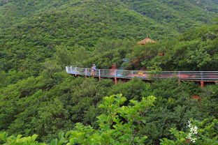 遼寧這個景區有條 中華孝道 ,讓老人游覽更方便,受到網友點贊