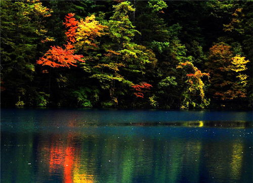 五彩藏區(qū) 四川網(wǎng)絡(luò)廣播電視臺(tái)