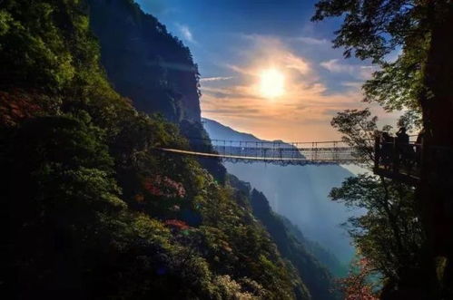 萍鄉(xiāng)武功山兩大榮譽加冕,奏響時代強音 在全省旅游產(chǎn)業(yè)發(fā)展大會上