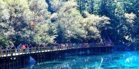 九寨溝管理局:9月30日至10月6日景區(qū)門票已售罄