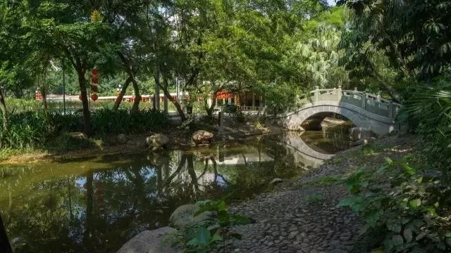 賺翻了!深圳53個(gè)免費(fèi)景點(diǎn),不花一分錢玩轉(zhuǎn)五一!