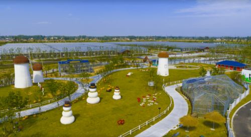 我們一起走過(guò)的2020 洋河新區(qū)文旅工作回眸