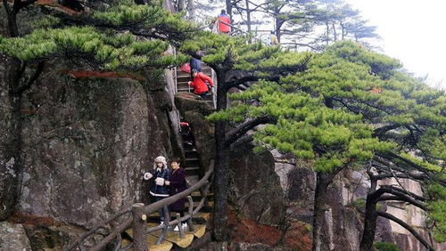 窮人越來越窮,富人越來越富,盤點(diǎn)富人不希望窮人明白的秘密